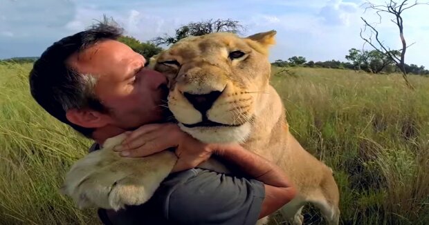 Screenshot: YouTube / The Lion Whisperer