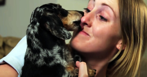 Screenshot: YouTube / The Humane Society of the United States