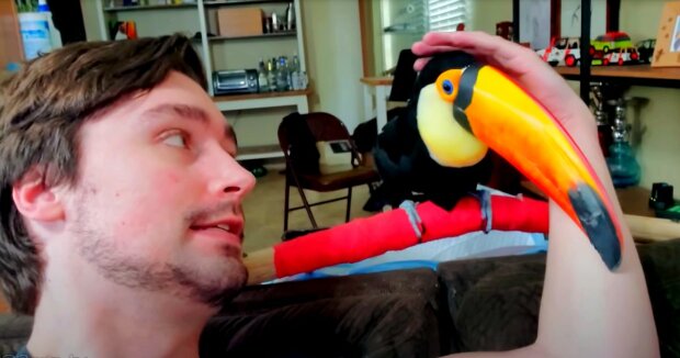 Screenshot: YouTube / 2CAN TV - My Life With Toucans!