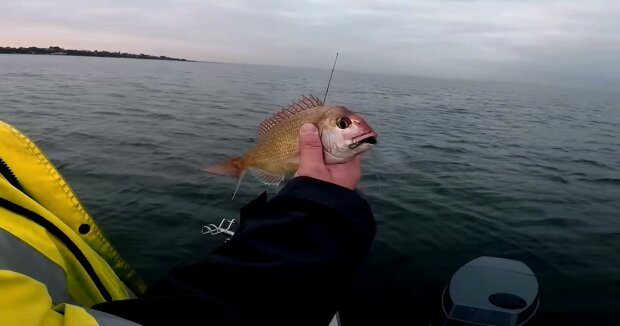 Screenshot: YouTube / fishingmad